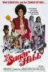 Poster for