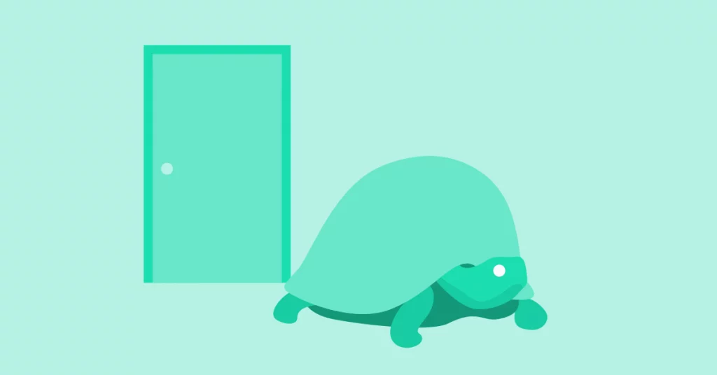turtle